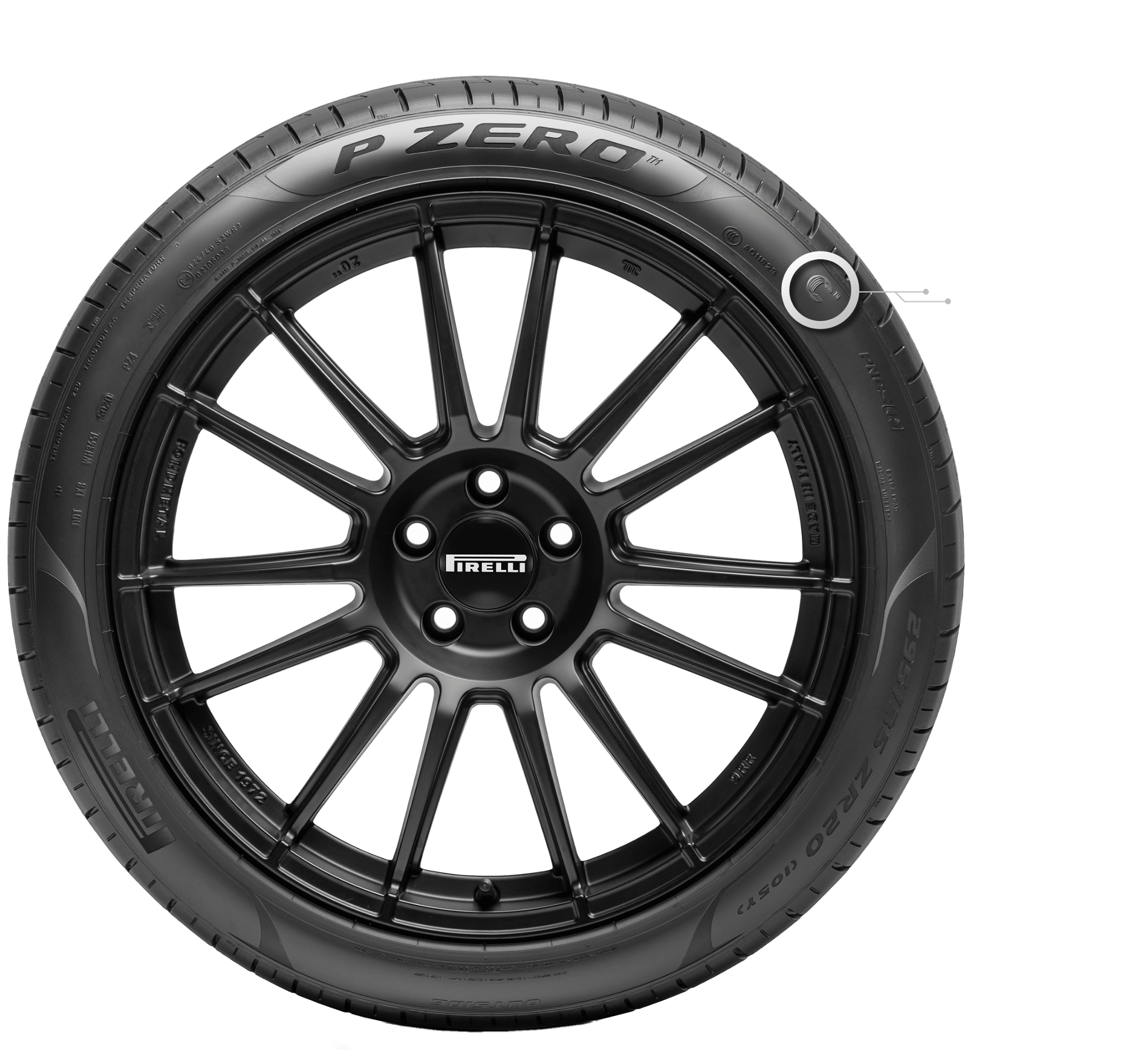 Nam purus massa, lacinia in quam sed, consectetur accumsan nisl.